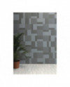HARMONY TONAL BY RAW COLOR